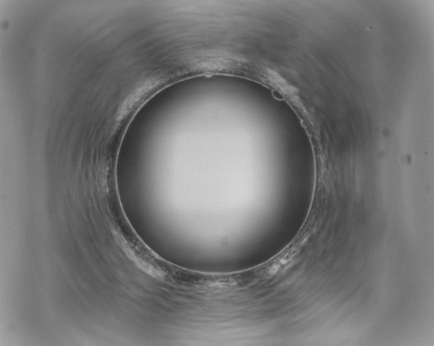 X0000070360106200606161302