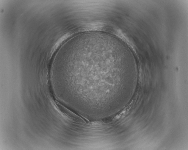 X0000070360107200606161302