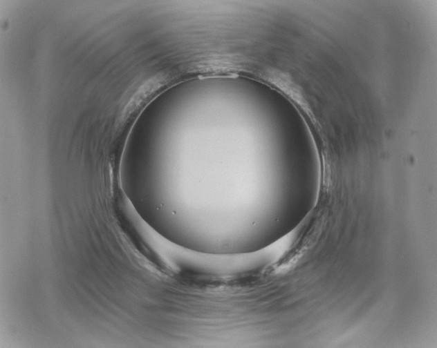 X0000070360109200606161302