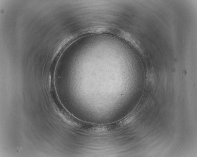 X0000070360110200606161302