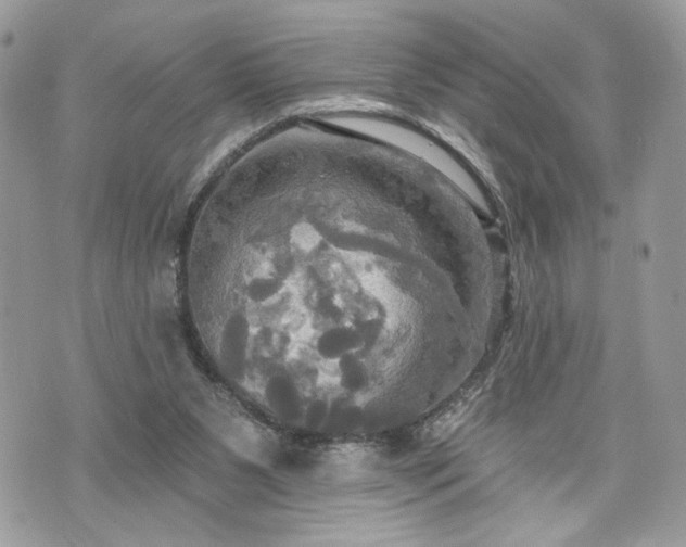 X0000070360111200606161302