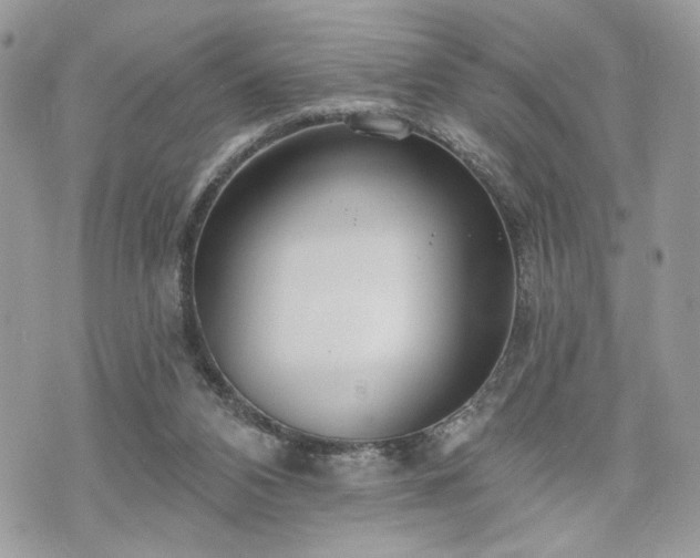 X0000070360112200606161302