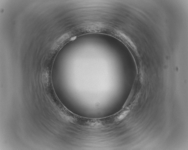 X0000070360113200606161302