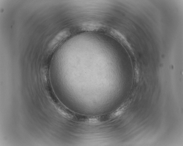 X0000070360114200606161301