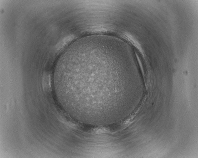 X0000070360115200606161301