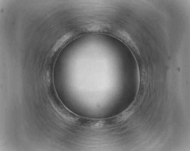 X0000070360116200606161301