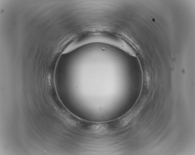 X0000070360117200606161301