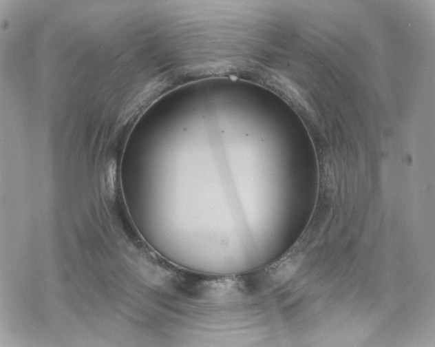 X0000070360118200606161301