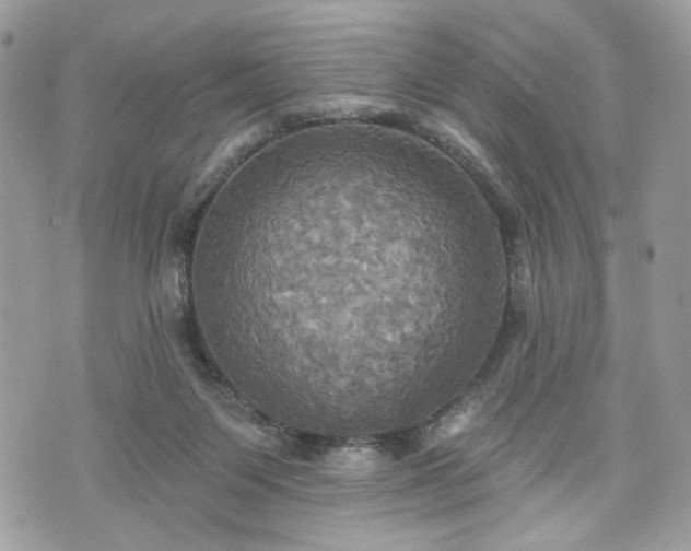 X0000070360119200606161301