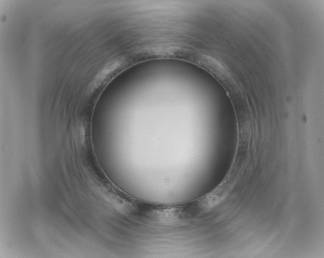 X0000070360120200606161301