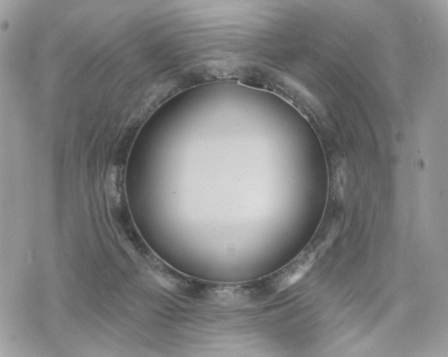 X0000070360121200606161301