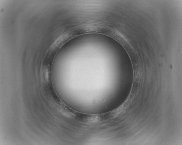 X0000070360124200606161301