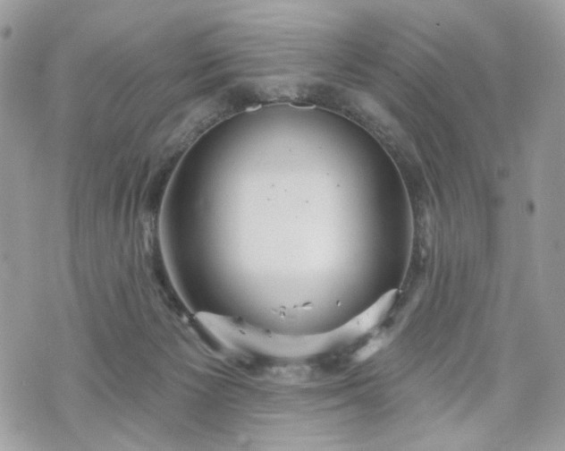 X0000070360125200606161301