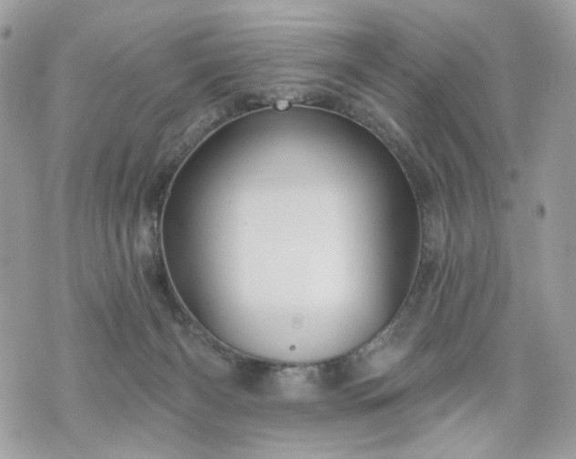 X0000070360126200606161301