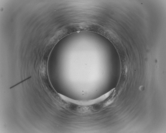 X0000070360129200606161301