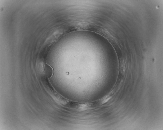 X0000070360130200606161301