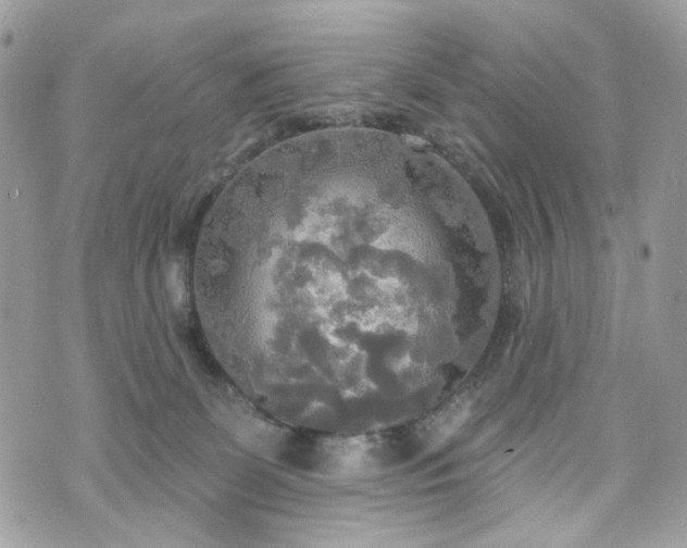 X0000070360131200606161301