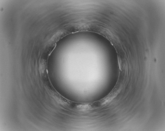 X0000070360133200606161301