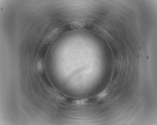 X0000070360134200606161301