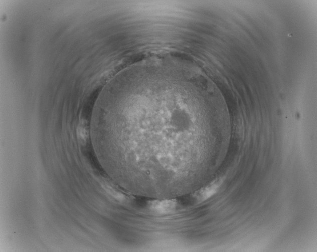 X0000070360135200606161301