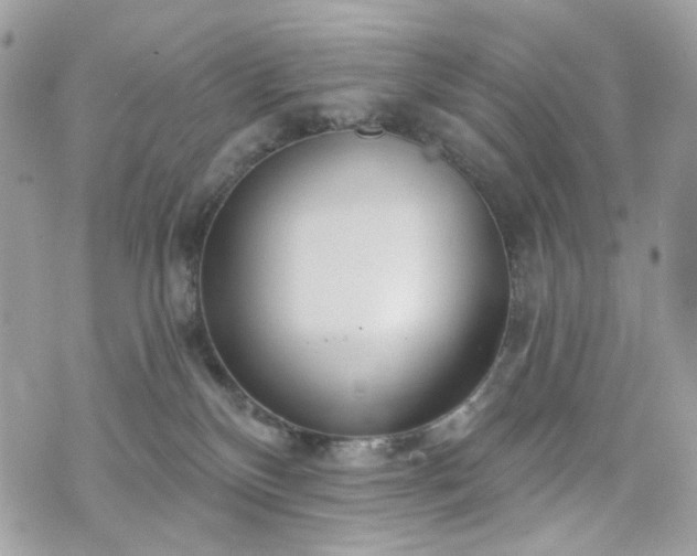 X0000070360136200606161301