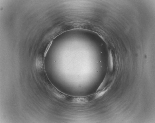 X0000070360137200606161301