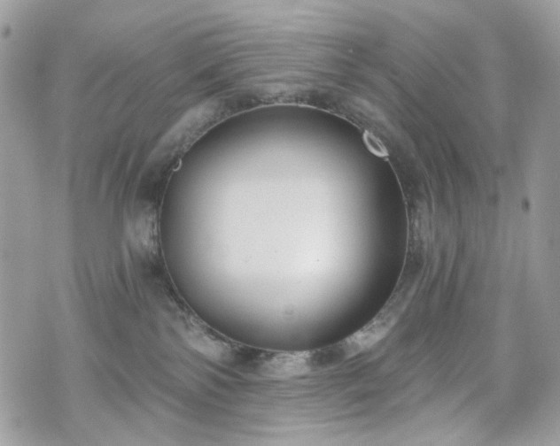 X0000070360138200606161301