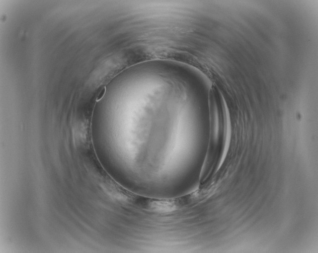 X0000070360139200606161301