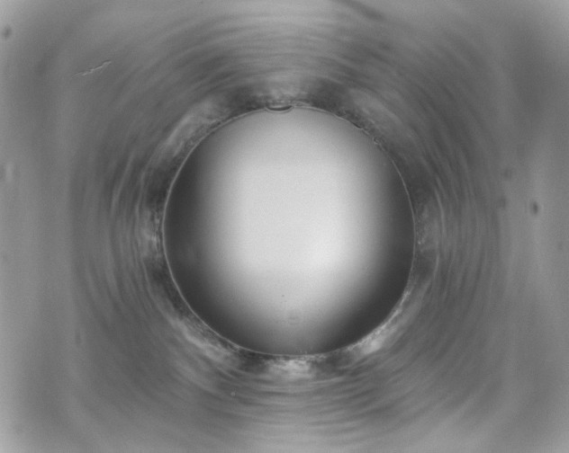 X0000070360140200606161301