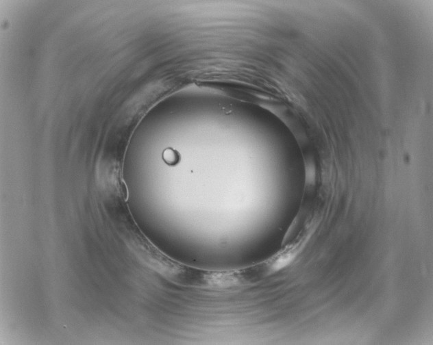 X0000070360141200606161301