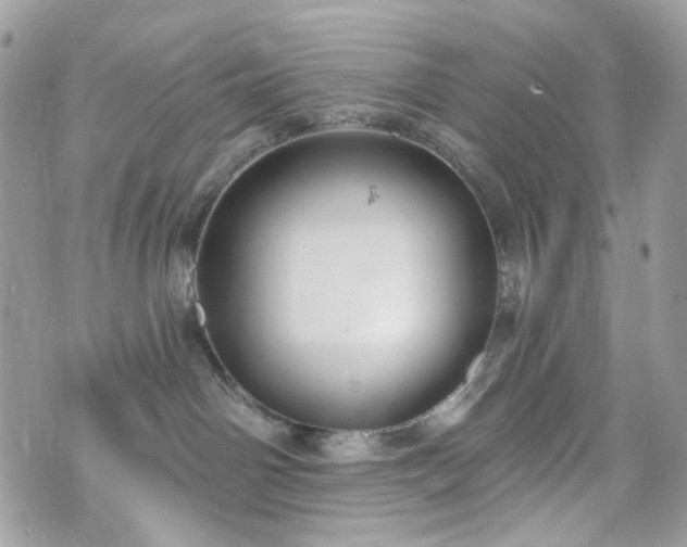 X0000070360142200606161301