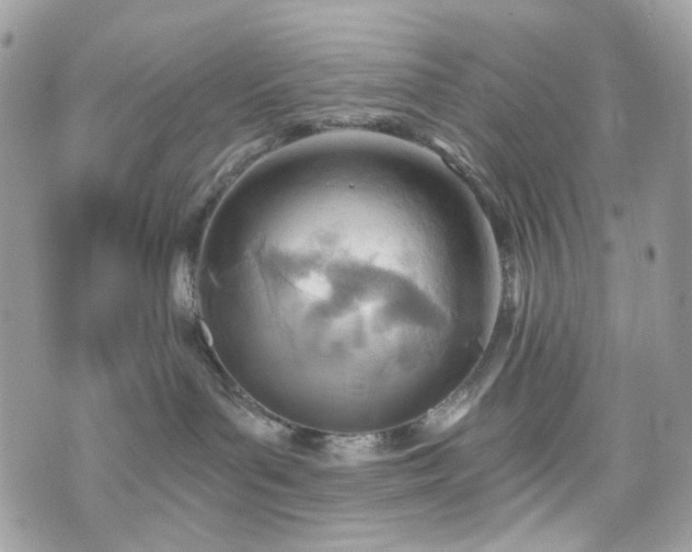 X0000070360143200606161301