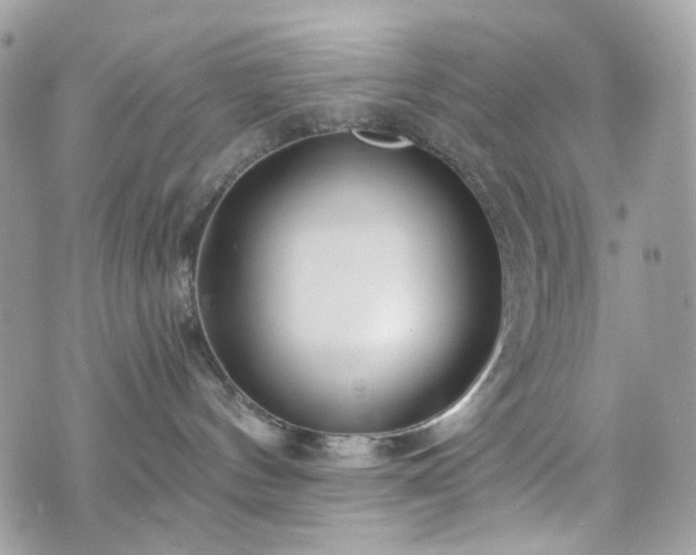 X0000070360144200606161301