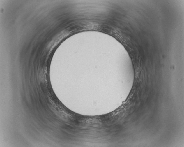 X0000070360146200606161300