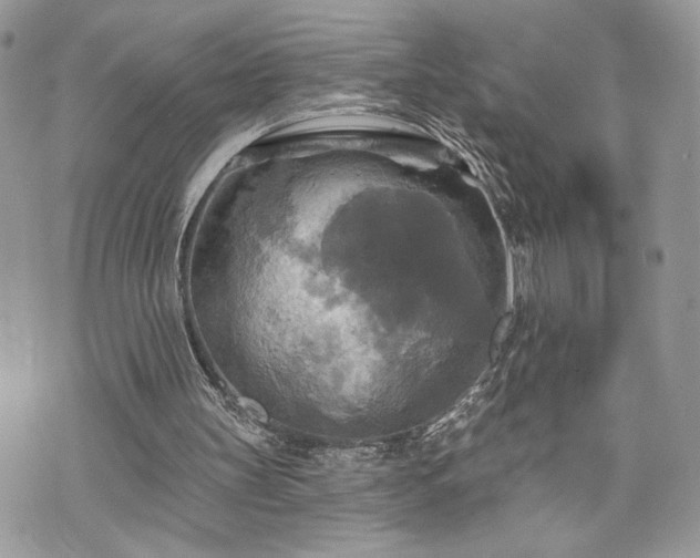 X0000070360147200606161300