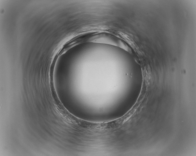 X0000070360148200606161300