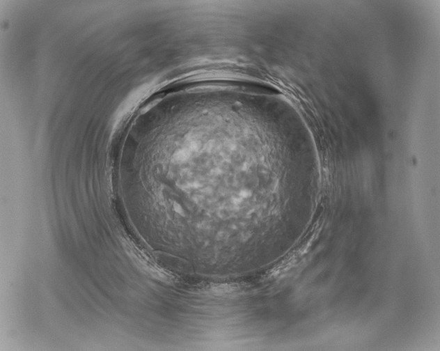 X0000070360149200606161300