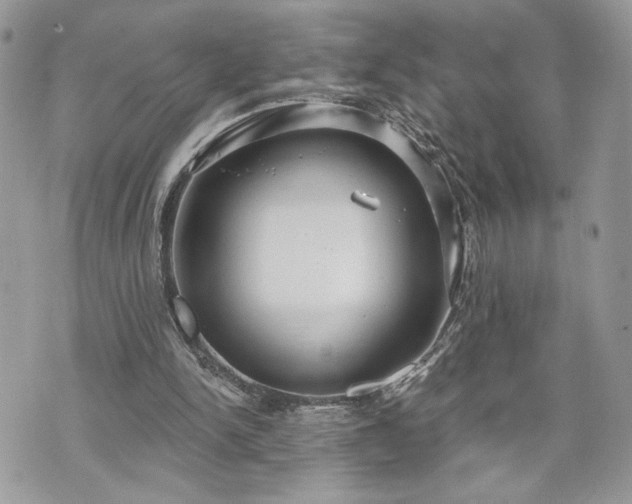 X0000070360150200606161300