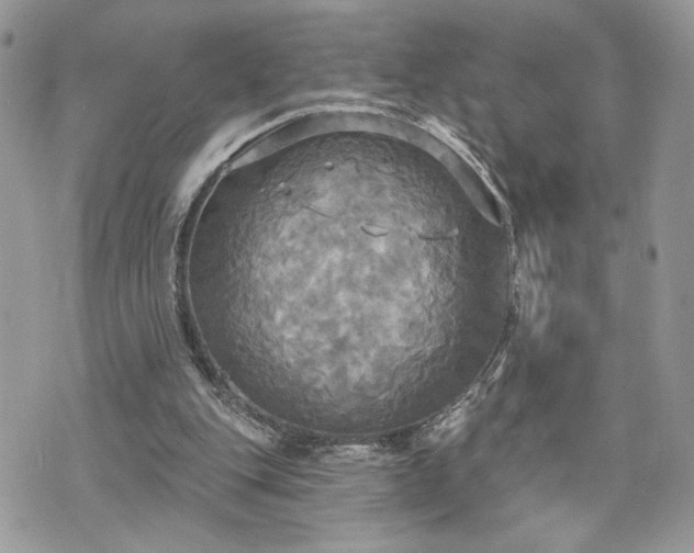 X0000070360151200606161300