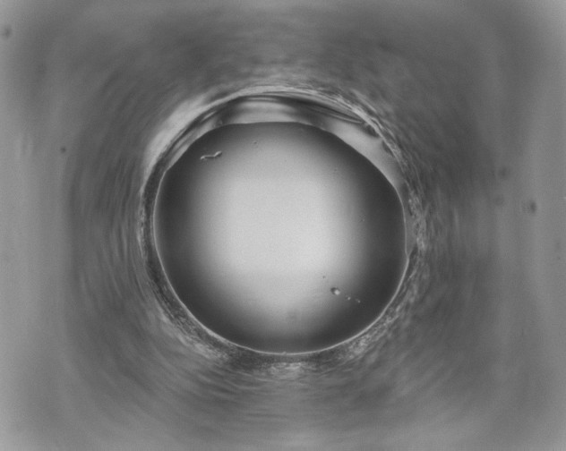 X0000070360152200606161300