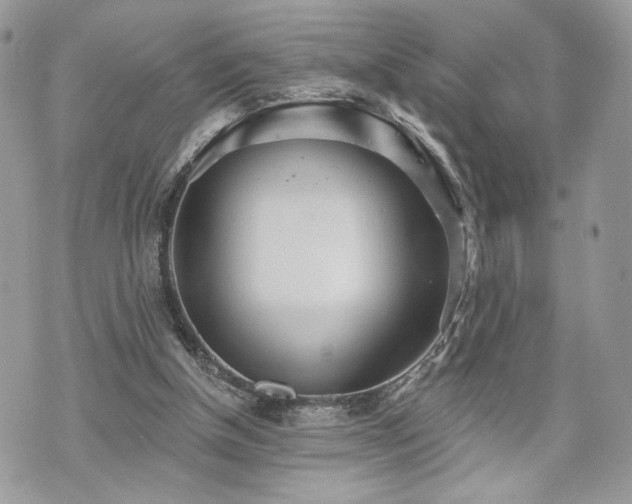 X0000070360154200606161300