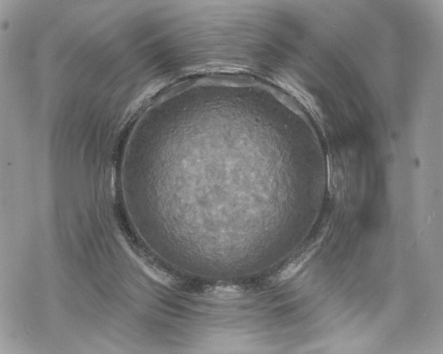 X0000070360157200606161300