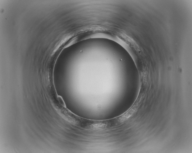 X0000070360158200606161300