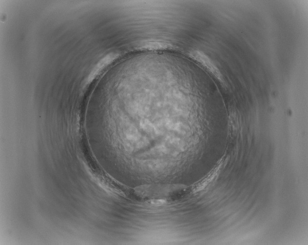 X0000070360159200606161300