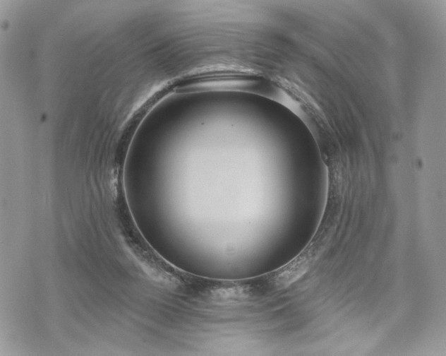 X0000070360160200606161300