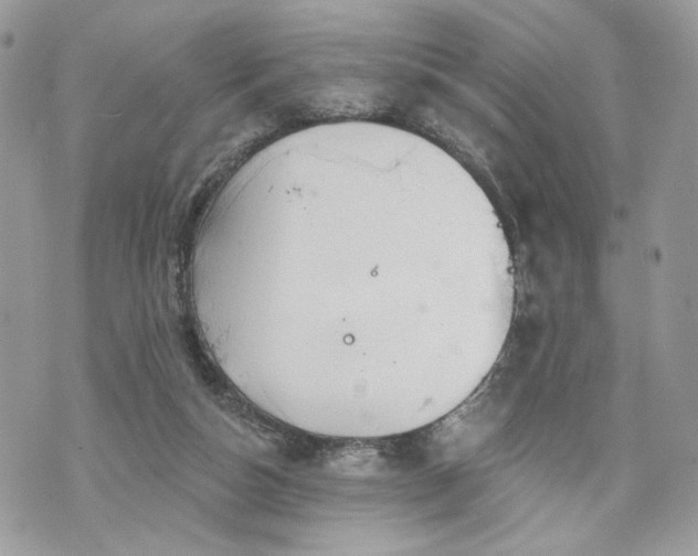 X0000070360162200606161301