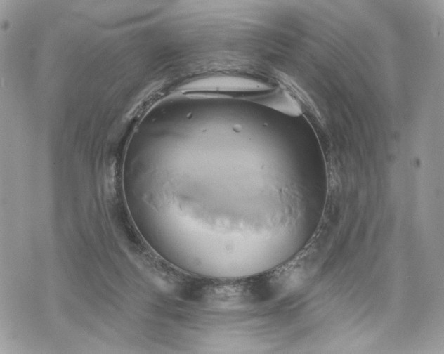 X0000070360163200606161301