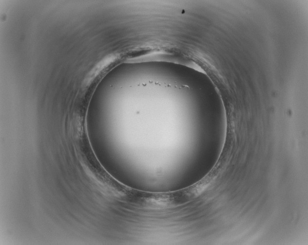 X0000070360164200606161301