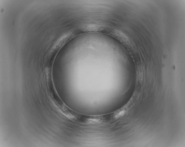 X0000070360167200606161301