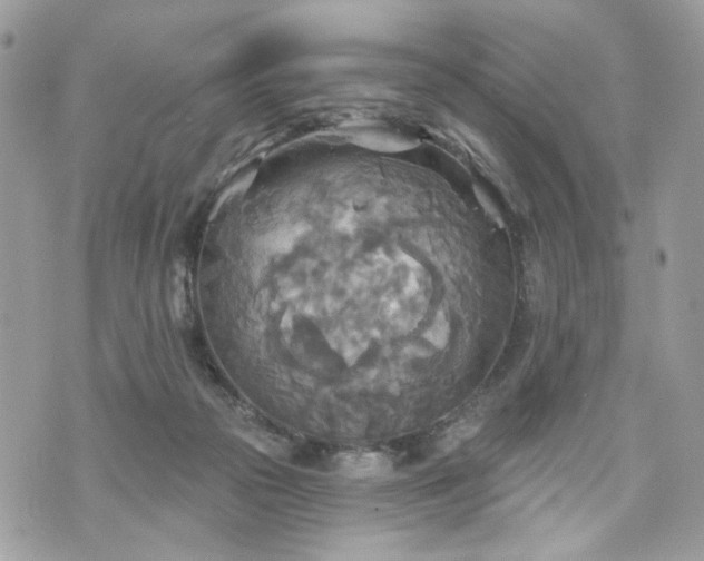 X0000070360169200606161301